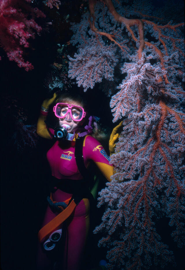Valerie Diving