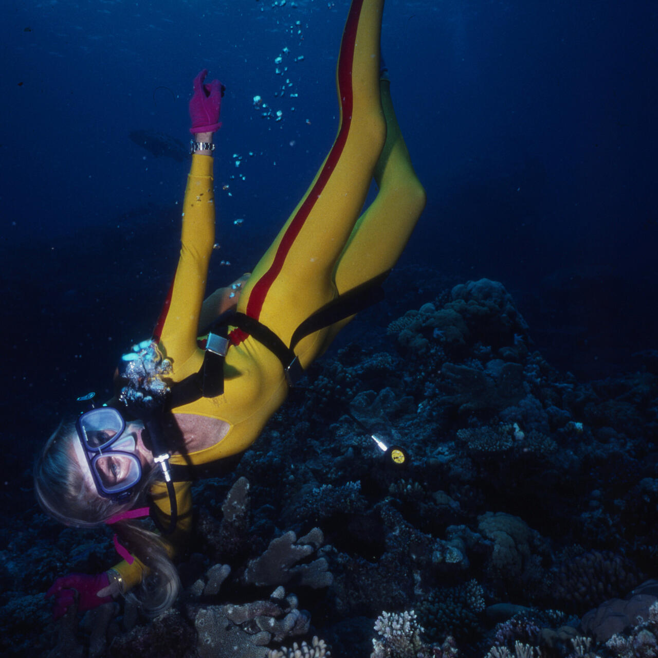 Photo of Valerie diving, wearing a yellow wetsuit and scuba equipment